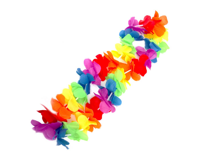 Hawaii Krans Regenboog afbeelding