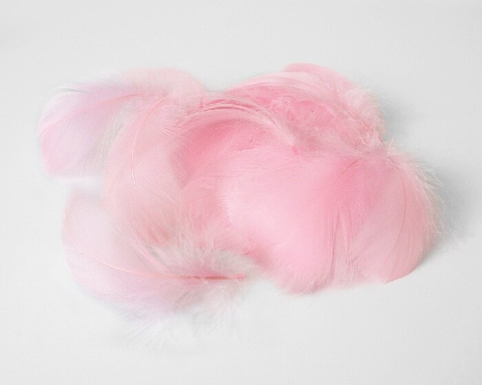 Decoratie Veren Roze (±50st) afbeelding