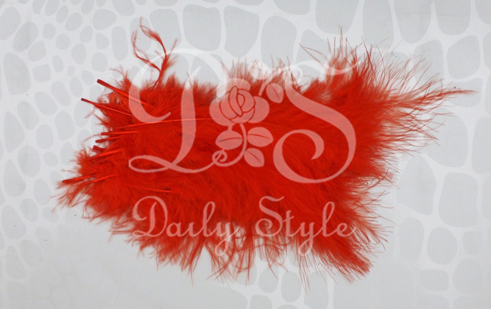 Decoratie Veren Rood (±50st) afbeelding