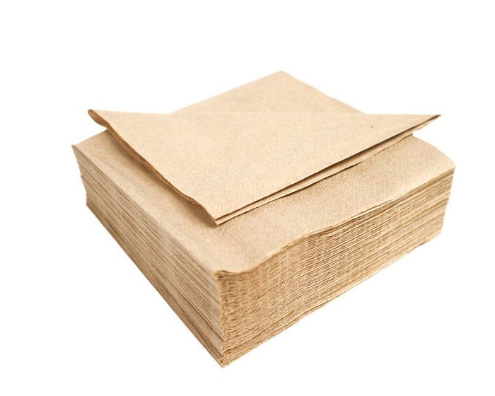 Servetten Eco Bruin (100st) afbeelding