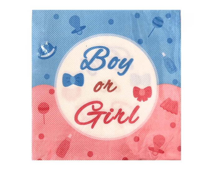 Servetten Boy or Girl? (20st) afbeelding