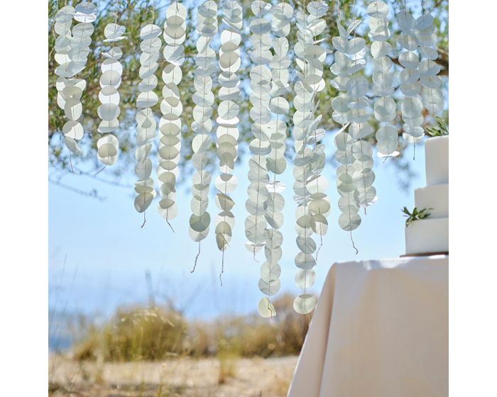 Backdrop Papieren Eucalyptus Sage Ginger Ray afbeelding