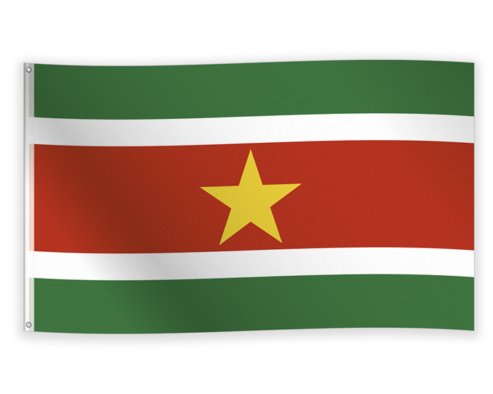 Vlag Suriname (90x150cm) afbeelding