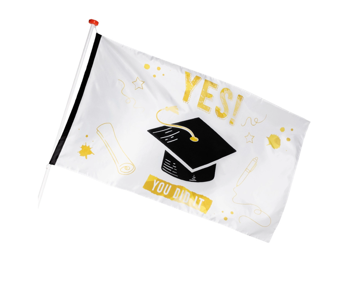 Vlag You Did It! (90x150cm) afbeelding
