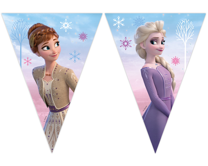 Papieren Vlaggenlijn Frozen - 2,3m afbeelding