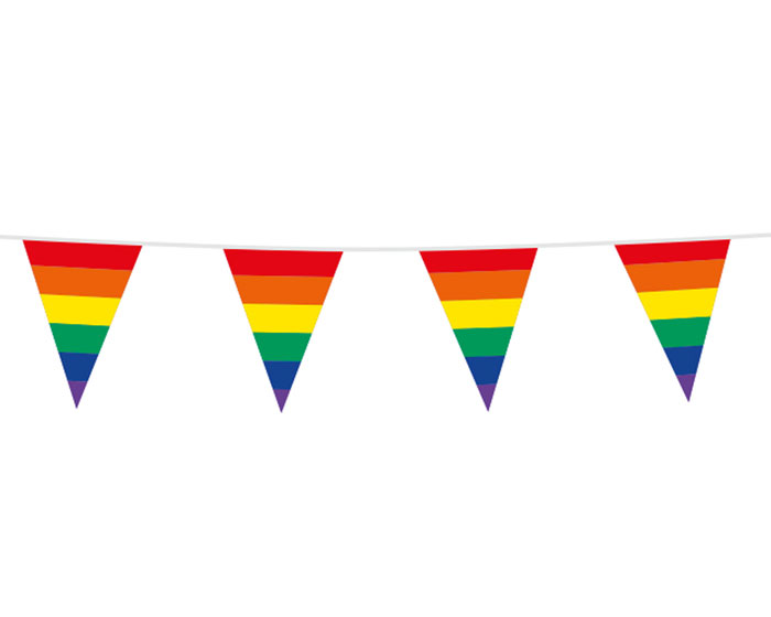 Vlaggenlijn Regenboog (10m) afbeelding