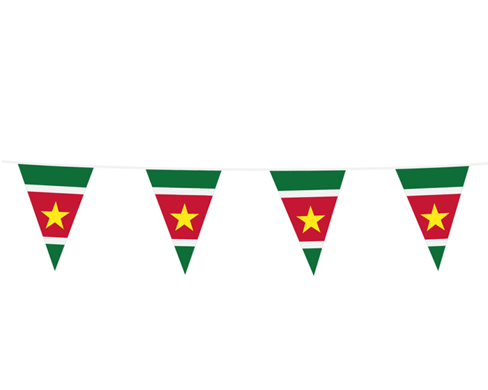 Vlaggenlijn Suriname (10m) afbeelding