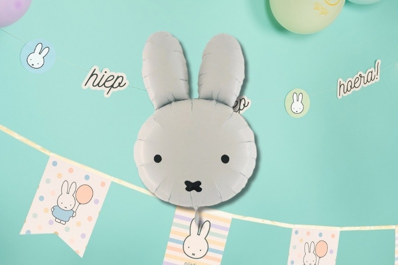 feest voor de allerkleinsten nijntje